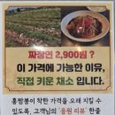 메가마트 옆 | 울산 언양 메가마트 근처 맛집, '홍짬뽕' 방문 후기