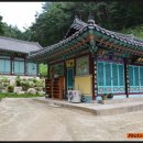 양구 심곡사 목조 아미타삼존불좌상 및 복장유물 이미지