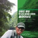 스파이더플라이 이미지