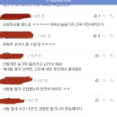 서이초 추모 남초커뮤니티 펨코 반응 이미지