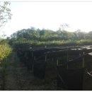 임경빈농장 이미지