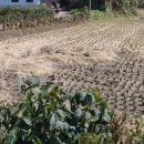 대운산리 이미지