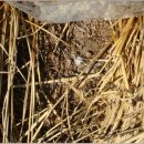 벼리농장 이미지