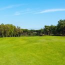 Team S 골프아카데미 이미지