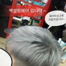 화이트헤어칼라 이미지