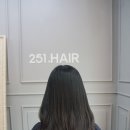 헤어251