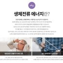 영테라피 이미지