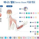 포도나무한의원 이미지