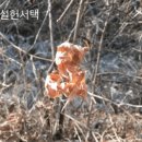 삼천장 이미지