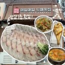[부산/당감] 매일매일 도매횟집 / 당감동 1등 횟집 &amp; 꿀팁 &amp; 오픈런 필수 _ 내돈내산