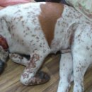 상오안리농장 이미지