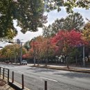 코너그레이 이미지