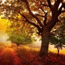 뽀스락뽀스락 이미지