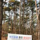 남통동 족구장 이미지