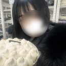 민까스the찜닭 | 코드기어스와 웰시코기