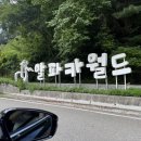 사슴방목장 | 홍천 알파카월드 : 미칠듯한 더위와 함께한 관람후기(위치, 가격, 장단점)+알파카월드 카페