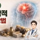 중풍의 한의학적 치료 예방·회복·재활을 함께 보는 통합적 접근 이미지