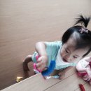 48PC 이미지