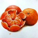 정밀사