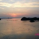 진도모터스 이미지