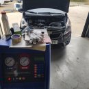 정카센타 이미지