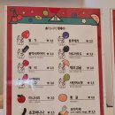 오사카탕후루 이미지