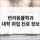 동덕여자대학교 미용보건대학원 | 반려동물학과 입시·전공·진로·취업·직업·자격증 정보 총정리