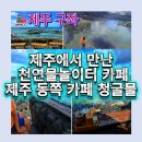 카페 청굴물 <b>카페</b> <b>청굴물</b> 방문 후기｜제주 동쪽 <b>카페</b> 중 아이들 물놀이 가능한 제주 동쪽 오션뷰 <b>카페</b>