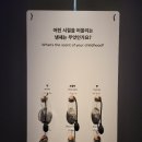 이색 전시회 서울 역사박물관 후기 종로 가볼만한 전시 추천