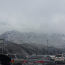 돌바우주유소 이미지