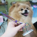 유키미용학원 이미지