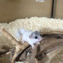 서산아크릴 네이버블로그