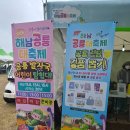 미니스톱해남우항리점 | 5월 가정의 달 국내여행, 해남 공룡대축제 리얼후기 (체험·공연·먹거리 총정리)