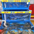 싱싱활어회수산 이미지