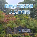 태백 소도야영장 뷰 좋은 태백산 국립공원 캠핑장 후기