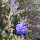 옥계남로-5 이미지