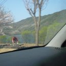 삼가-4 이미지