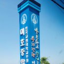 한국교원대학교부설미호중학교 이미지