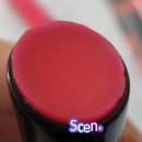 핑키펑키 이미지