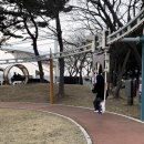 뉴허니사진관 | 꿀돼지 3월 정산 일기. 냠냠긋~