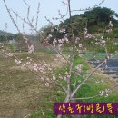 상초농장