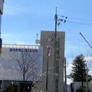 멍텅구리 아구찜 | 속초 후포식당 도치알탕 후기 및 메뉴 영업시간