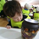 윤가농장 이미지