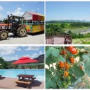 가시리농촌체험휴양마을 이미지