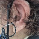 와이덱스보청기 인천구월센터 | 동인천보청기 믿고 B500 AI 구매가능 서울 덴마크보청기 부천 중동 센터