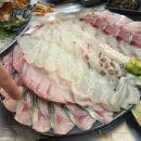 장수횟집 | 원주 단계동횟집 생선장수 요즘 가장핫한 원주횟집 후기 원주방어맛집