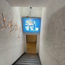 나포차 | 신논현역 포장마차 별빛나포차 솔직후기 맛있는 안주와 시원한 맥주로 금요일 마무리하자