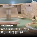 부산 스파/찜질방 투어 이미지