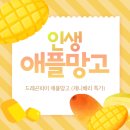 드래곤파머