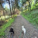 오룡산 등산로 입구 이미지